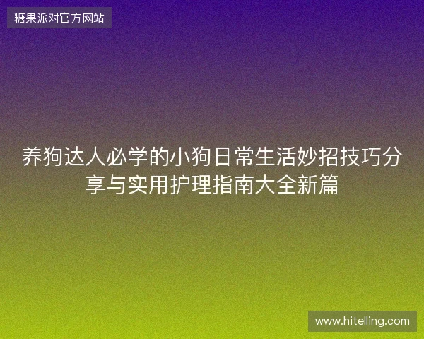 养狗达人必学的小狗日常生活妙招技巧分享与实用护理指南大全新篇